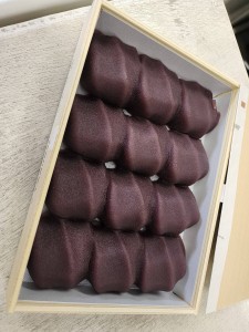 657964112_1576668621132477_6037301644760875361_n